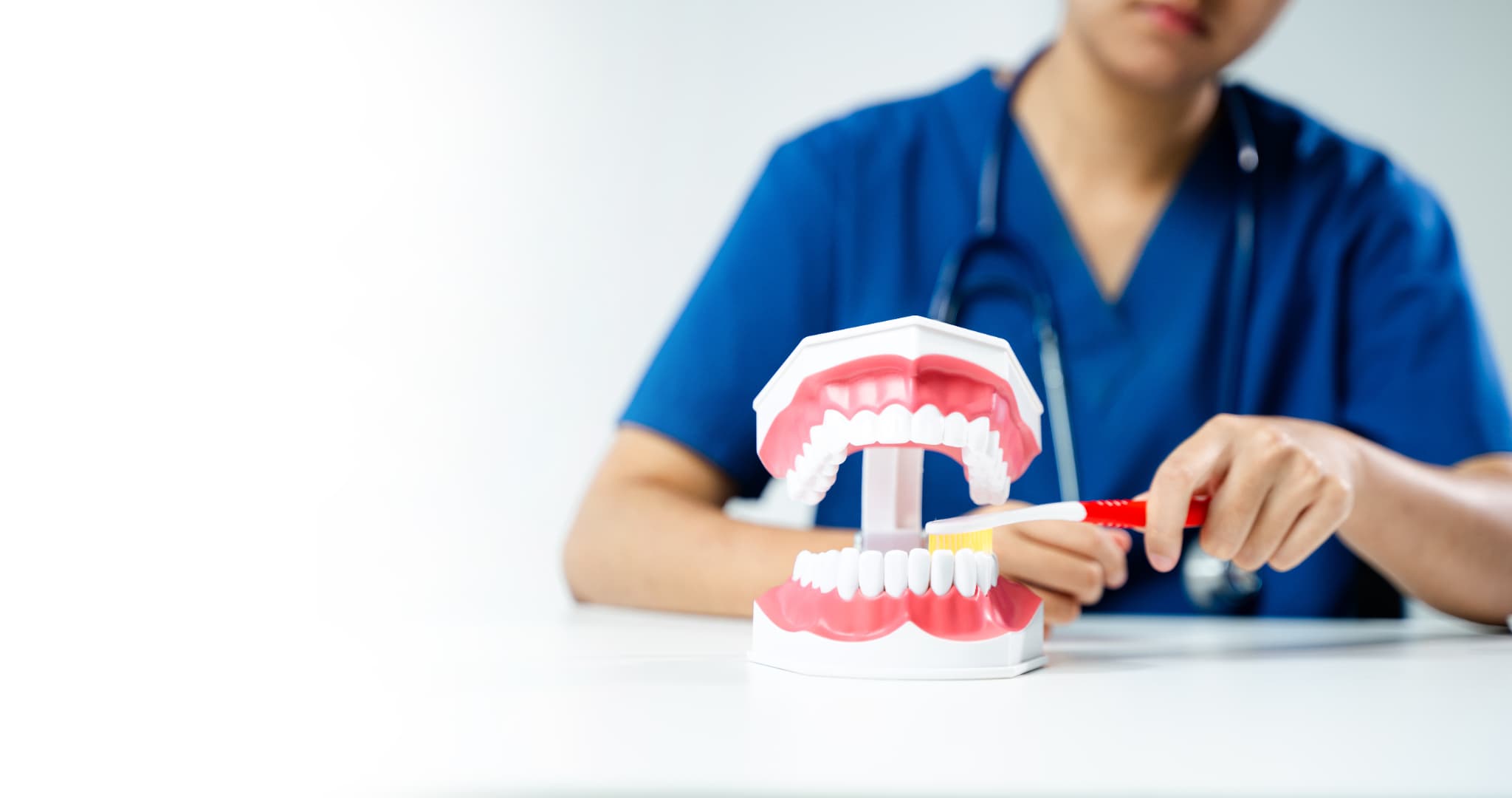 奥歯の虫歯を予防するために丁寧な歯磨きを推奨する歯科医師